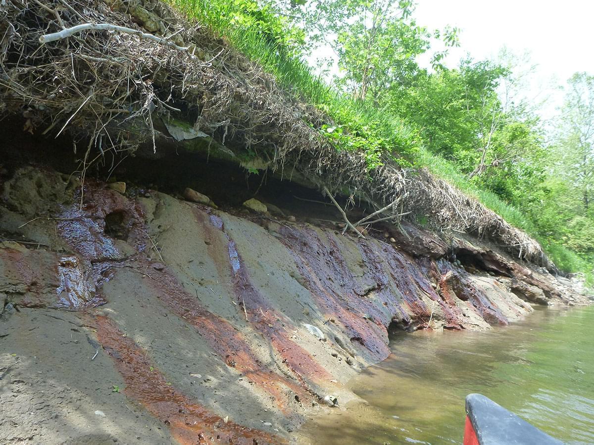 Coal ash seeps on the bank of the Middle Fork River