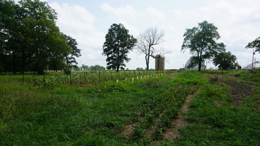 picture of a farm