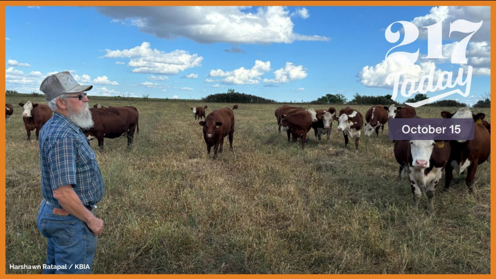 Wilburn Harris owns about 70 head of cattle in Drexel, Missouri. He would have had to sell many last year if not for federal drought relief.