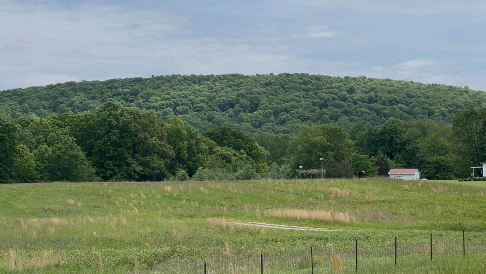 Hicks Dome is a dormant cryptovolcano that sits in Hardin County in southern Illinois.