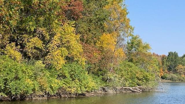 Homer Lake in Champaign County in October 2020