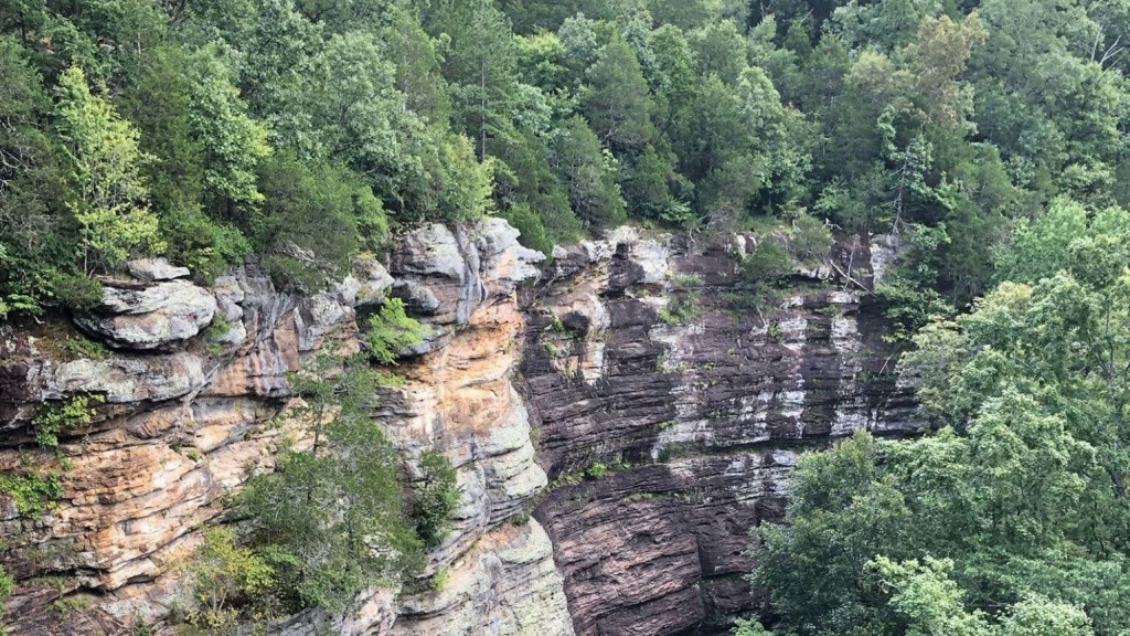 Shawnee National Forest in Southern Illinois