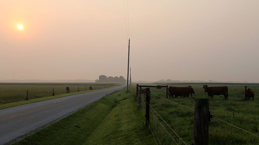 sun setting over hazy field