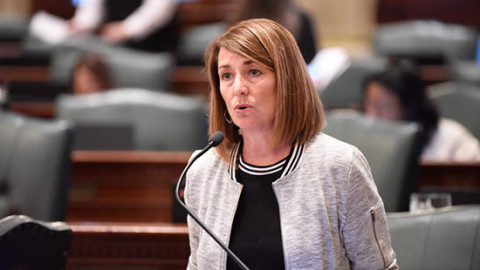 Illinois State Representative Deb Conroy (D-Elmhurst) is the sponsor of House Bill 4640.