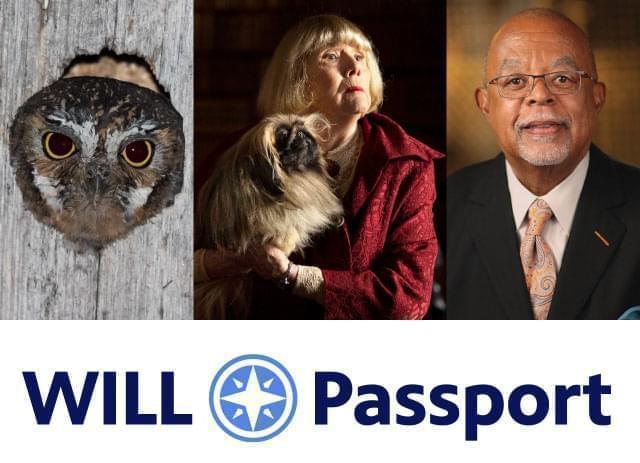 WILL passport